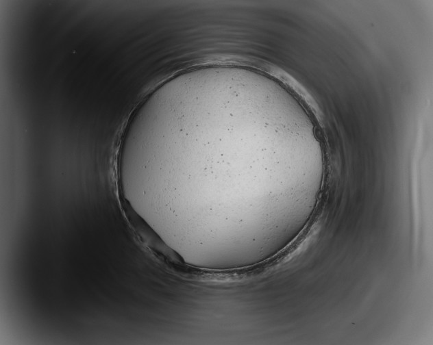 X0000087511049200705180951