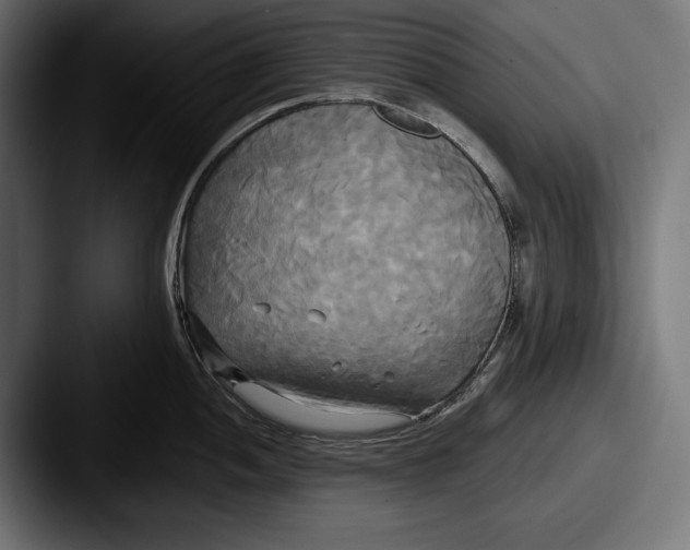 X0000087511052200705180951
