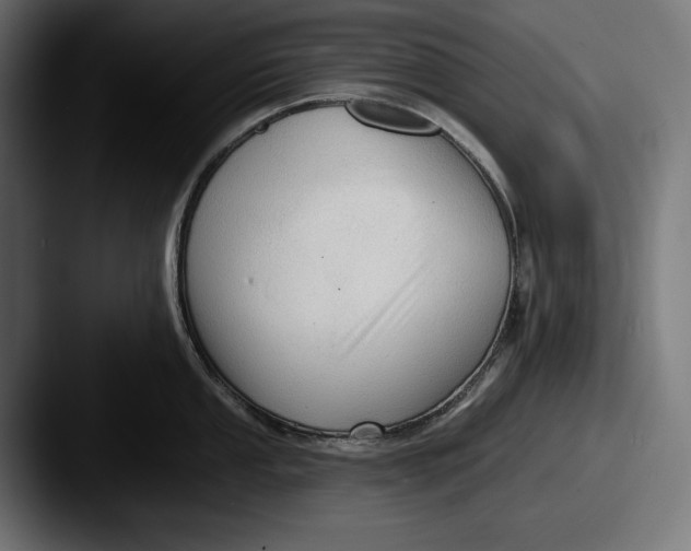 X0000087511053200705180951