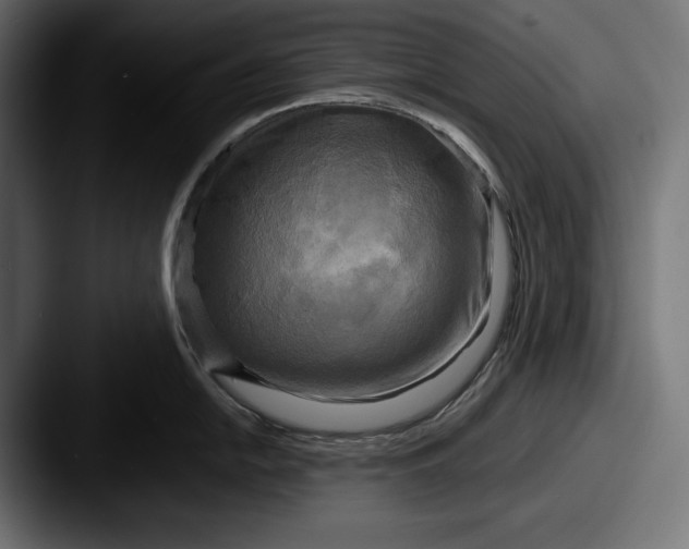X0000087511054200705180951