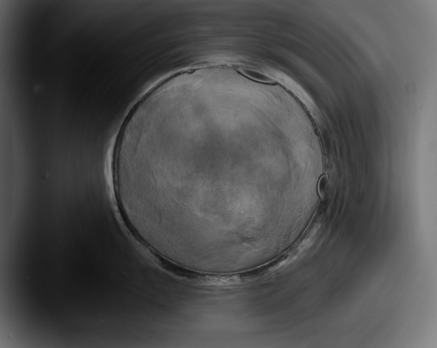 X0000087511055200705180951