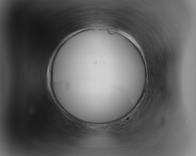 X0000087511056200705180951