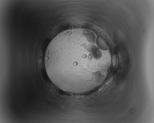 X0000087511059200705180950