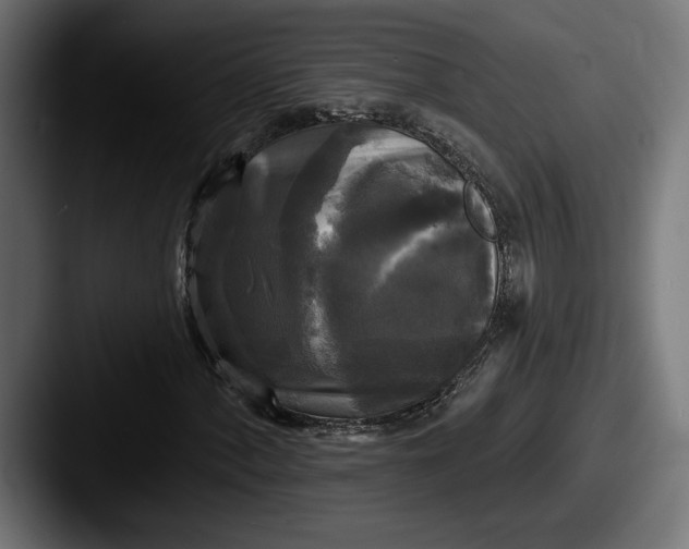 X0000087511060200705180950
