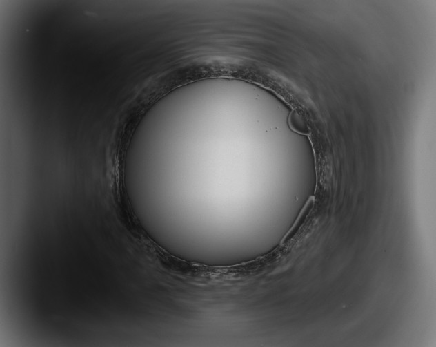 X0000087511061200705180950
