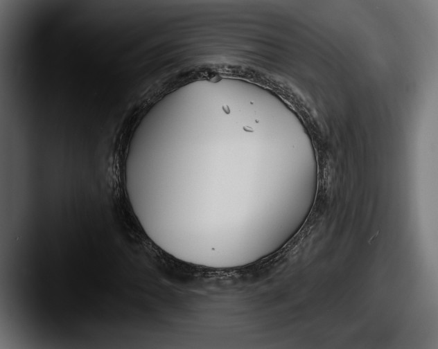 X0000087511062200705180950