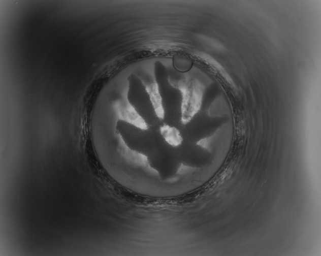 X0000087511063200705180950