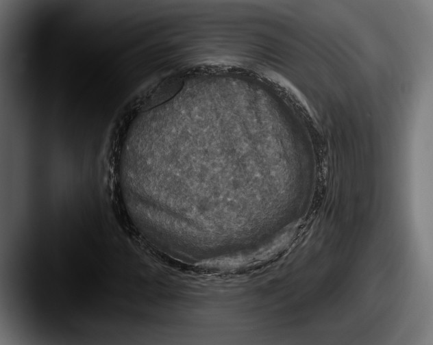 X0000087511064200705180950