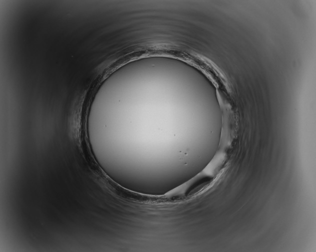 X0000087511065200705180950