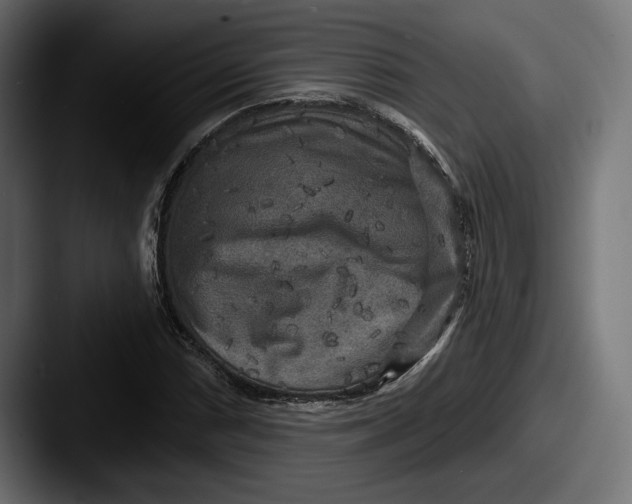 X0000087511066200705180950