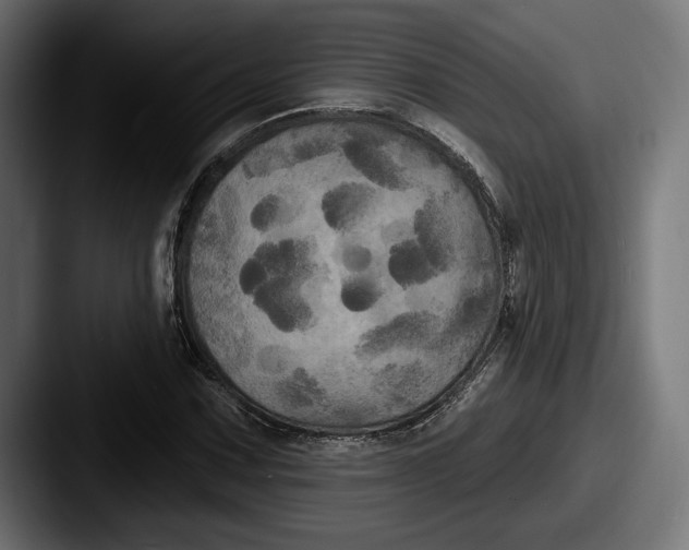 X0000087511067200705180950