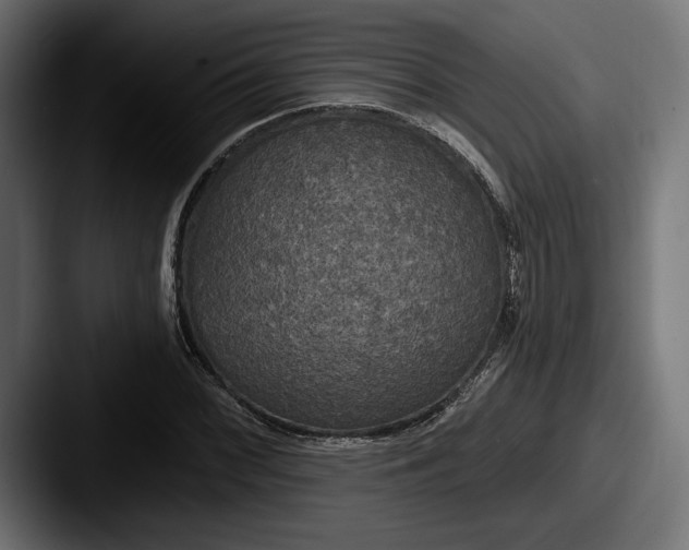 X0000087511068200705180950