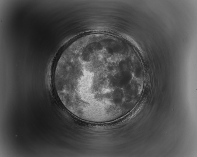 X0000087511071200705180950