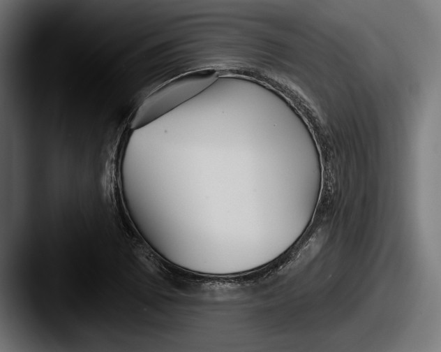 X0000087511073200705180950