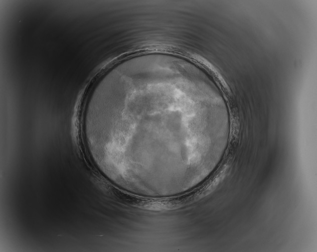 X0000087511074200705180950