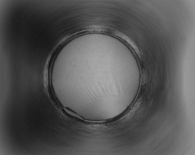 X0000087511075200705180950