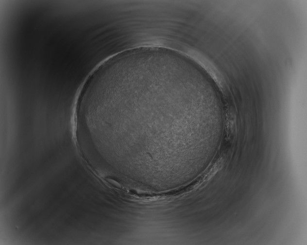 X0000087511076200705180950