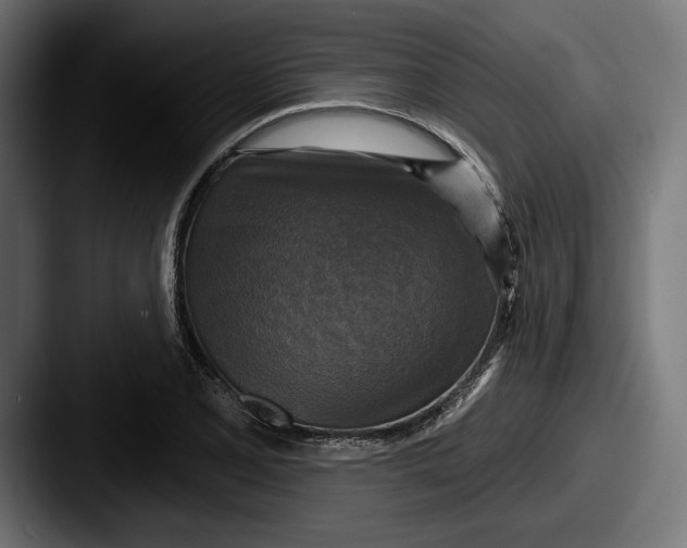 X0000087511077200705180950