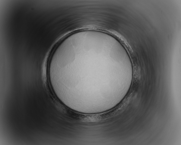 X0000087511078200705180950