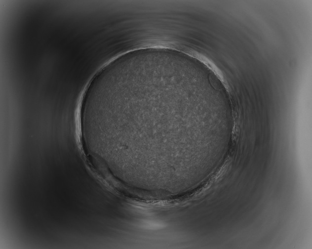 X0000087511080200705180950
