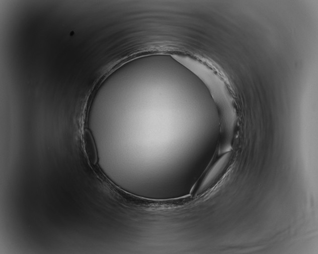 X0000087511081200705180950