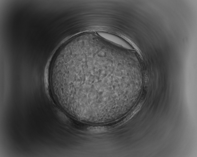 X0000087511083200705180950