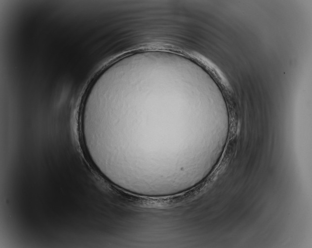 X0000087511086200705180950