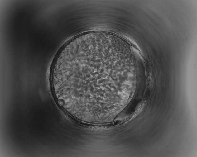 X0000087511087200705180950
