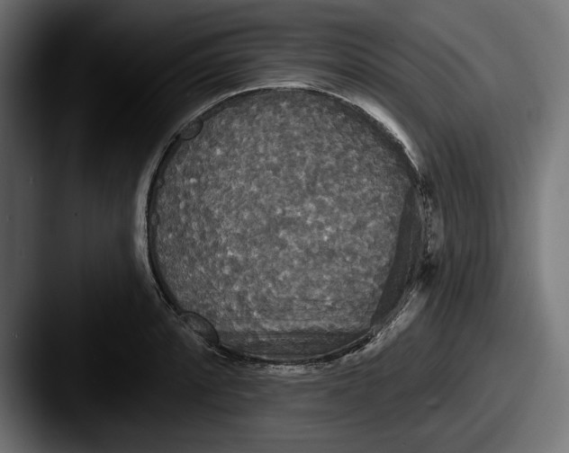 X0000087511088200705180950