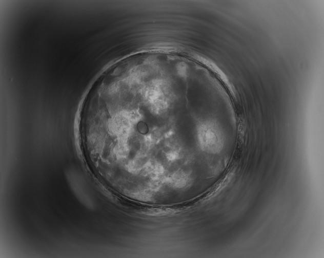 X0000087511091200705180950