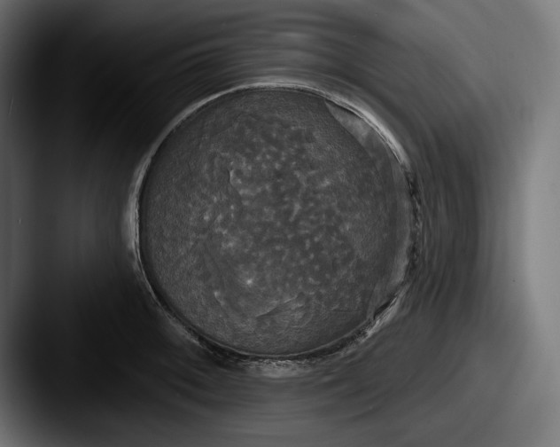 X0000087511092200705180950