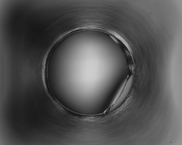 X0000087511093200705180950