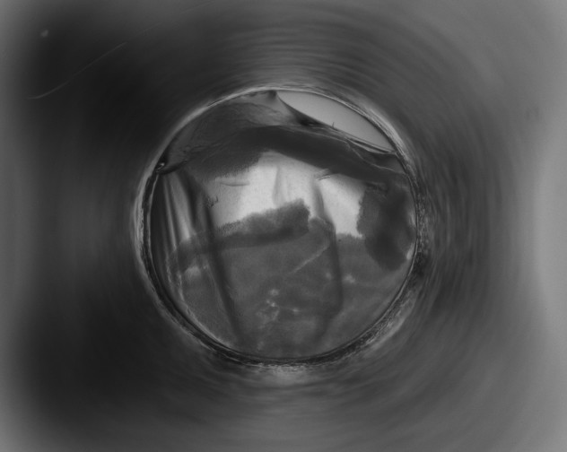 X0000087511095200705180950