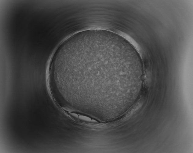 X0000087511096200705180950