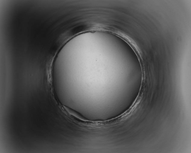 X0000087511097200705180950