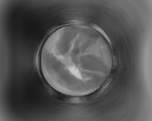 X0000087511098200705180950