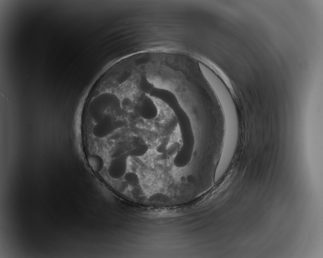 X0000087511099200705180950