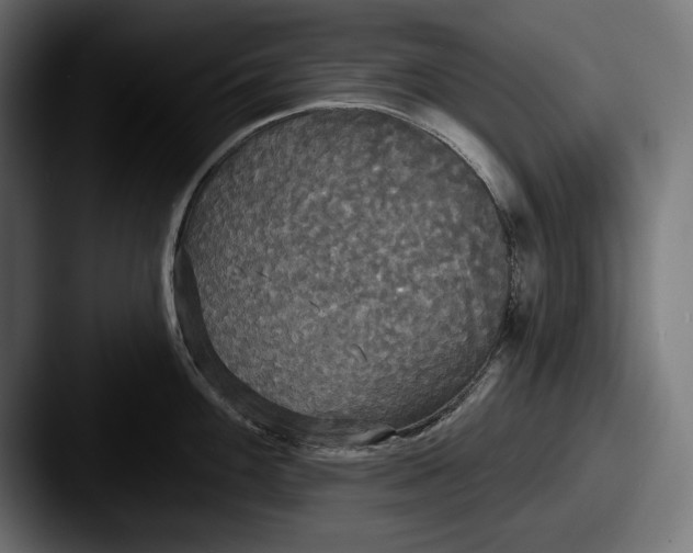 X0000087511100200705180950