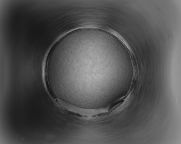 X0000087511101200705180950