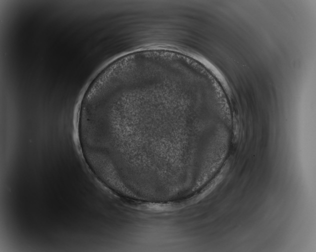 X0000087511102200705180950