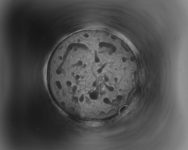 X0000087511103200705180950