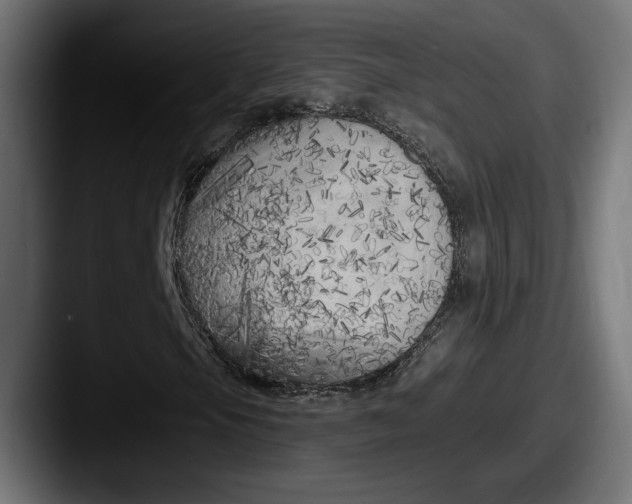 X0000087511105200705180949