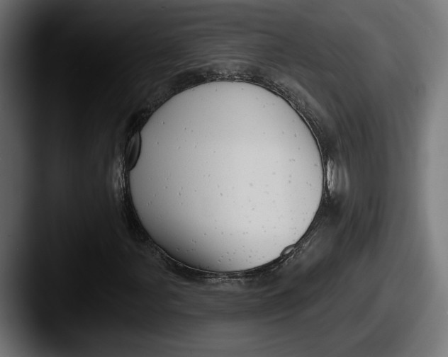 X0000087511107200705180949