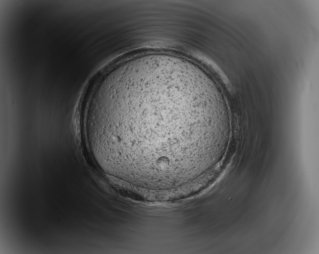 X0000087511114200705180949