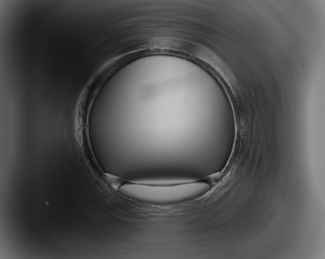 X0000087511115200705180949