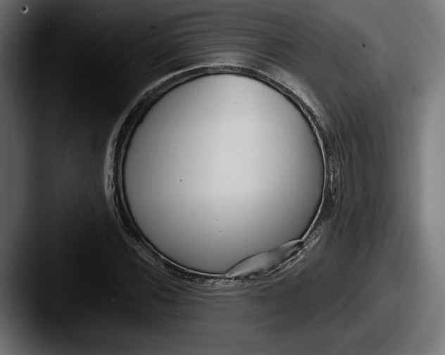 X0000087511116200705180949