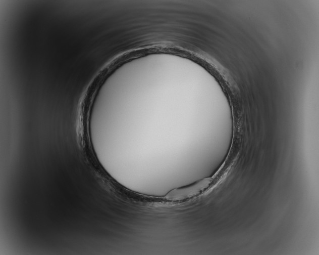 X0000087511118200705180949