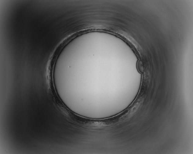 X0000087511119200705180949