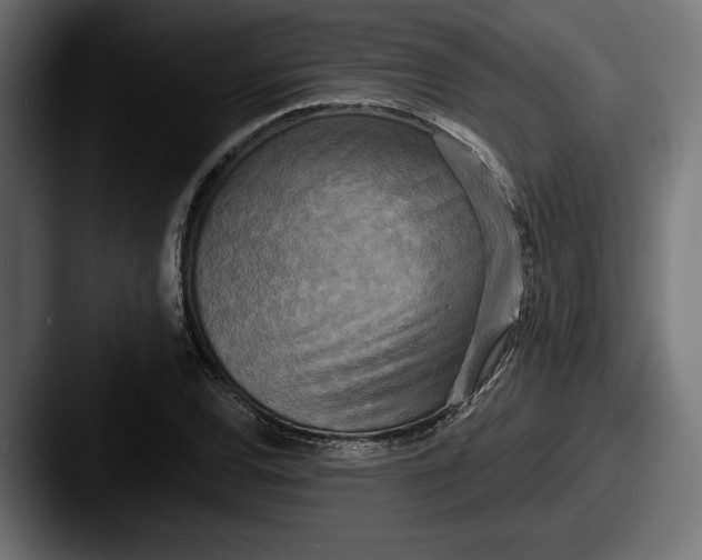X0000087511120200705180949