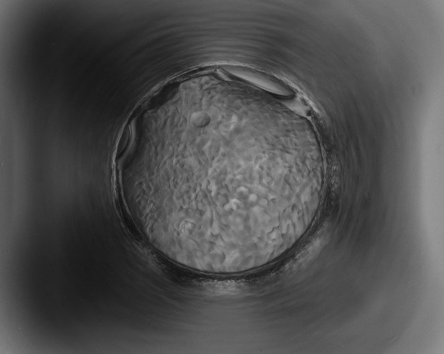 X0000087511121200705180949